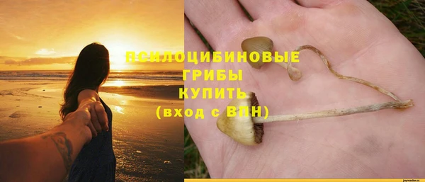 mdpv Лихославль