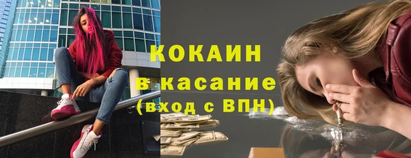 apvp Гусев