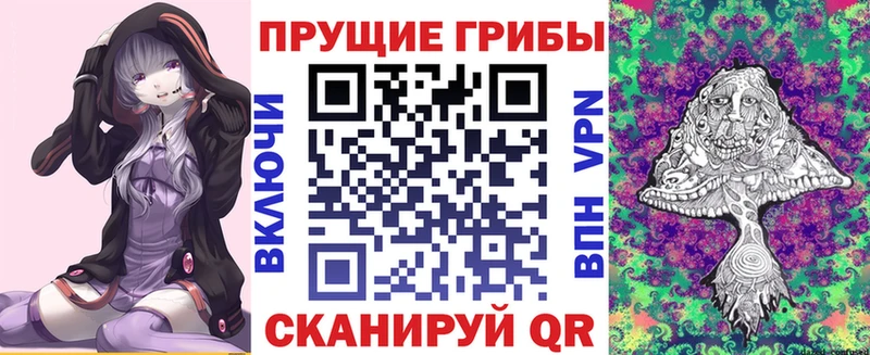 купить наркотики сайты  Гуково  MEGA вход  Псилоцибиновые грибы Psilocybe 