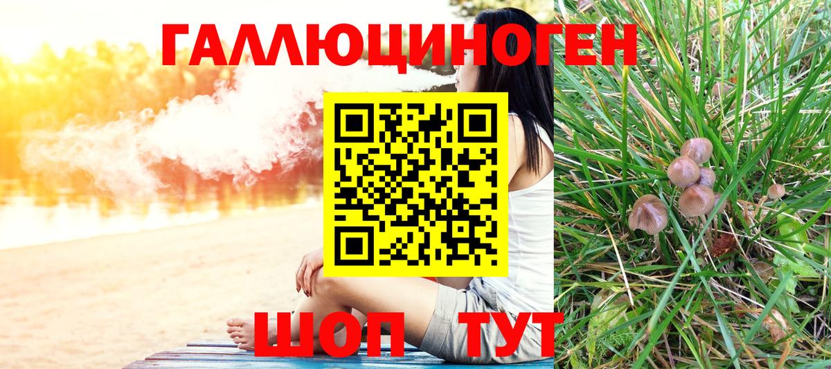 Галлюциногенные грибы Psilocybine cubensis Гуково