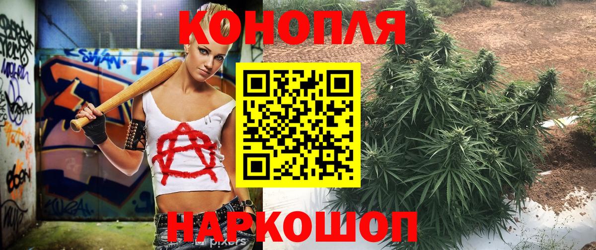 Бошки марихуана план  Шишки марихуана White Widow  Гуково  Марихуана SATIVA & INDICA  Вход с VPN  Конопля Bruce Banner 